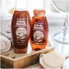 Garnier Whole Blends Smoothing Shampoo and Conditioner;  For Frizzy Hair;  1 kit